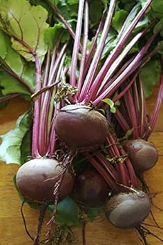 Red Beet Seeds for Planting - Fresh Vegetable 100 pcs
